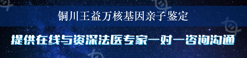 铜川王益万核基因亲子鉴定